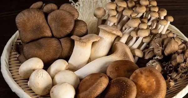 3 loại rau cần tránh ở người tăng axit uric trong mùa mưa