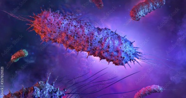 Miếng dán virus tiêu diệt 99.9% vi khuẩn trong thực phẩm