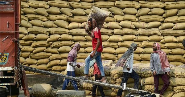 Cầu yếu, cung tăng gây sức ép lên giá gạo xuất khẩu của các nước châu Á