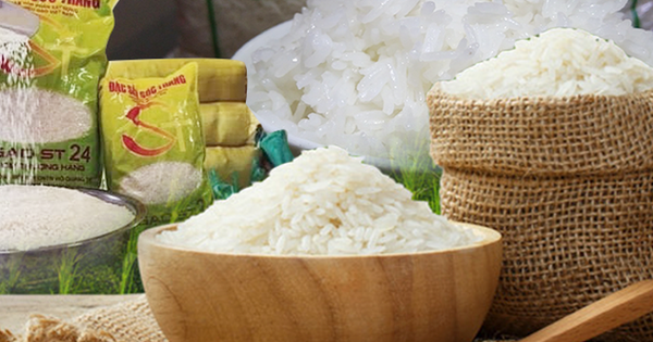 Ba lần ‘ngon nhất thế giới’, bí mật nào ẩn trong hạt gạo ST25?