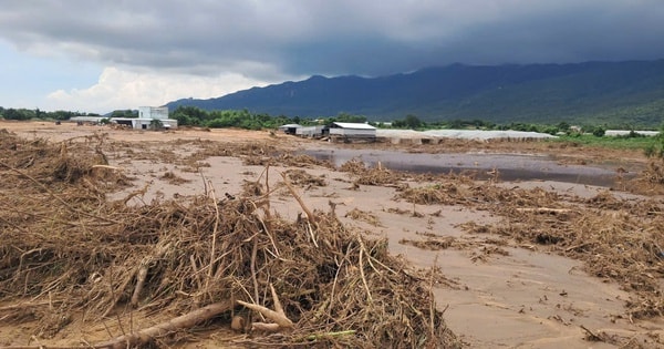 Khởi tố vụ án vỡ hồ chứa nước gây chết người ở Lâm Đồng