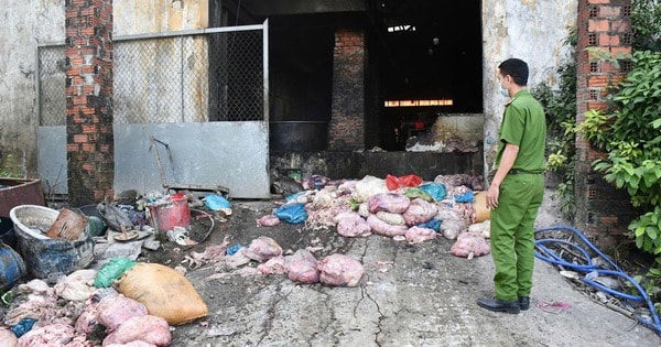 Phát hiện công nhân đang chế biến mỡ động vật trong khu nghĩa trang