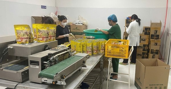 Khởi tố cơ sở sản xuất bột ngũ cốc Matcha lá sen giả