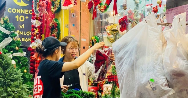 Thông tươi giá rẻ được chị em ‘săn đón’ trang trí dịp Giáng sinh 2025