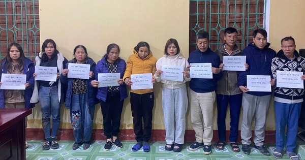 Mật phục nhóm người lạ giữa đồi cây, công an đánh sập xới sóc đĩa lớn