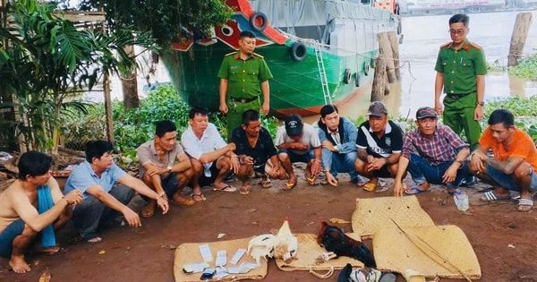 Đột kích tụ điểm đá gà ăn tiền, bắt 10 đối tượng