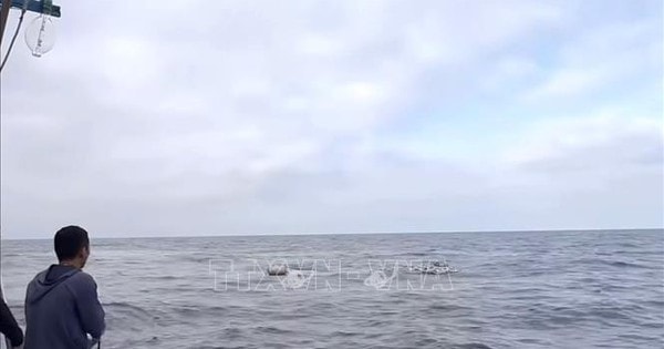 Nhanh chóng cứu 7 ngư dân gặp nạn do chìm tàu cá