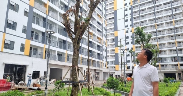 Người sinh 2 con trở lên chính thức được ưu tiên hưởng chính sách nhà ở xã hội từ 1/7/2026