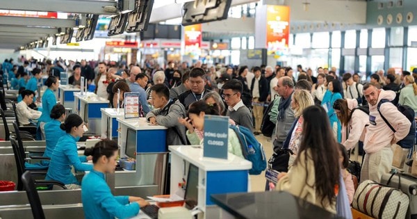 Hàng không 2025: Nhiều tàu bay dừng khai thác, sự cố chim - động vật tăng đáng lo ngại