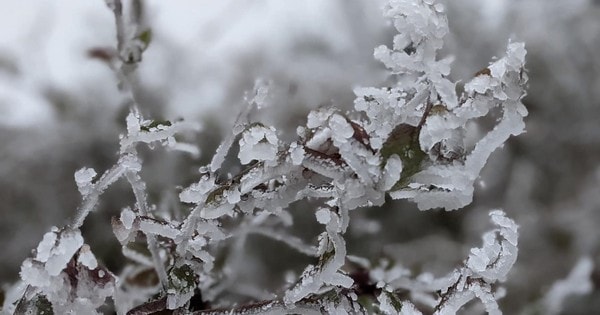 Đợt rét ở miền Bắc kéo dài đến khi nào?