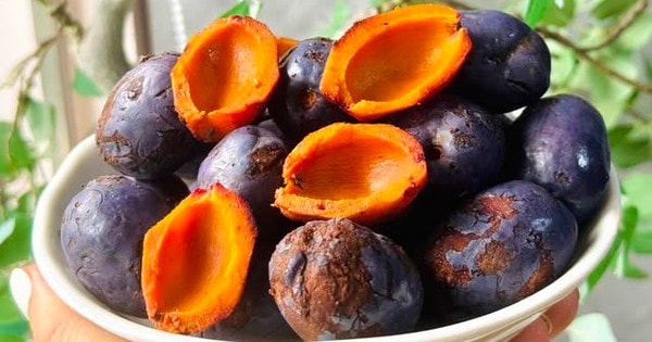 Thức quà dân dã của người nghèo xưa, nay có giá hàng trăm nghìn đồng mỗi cân