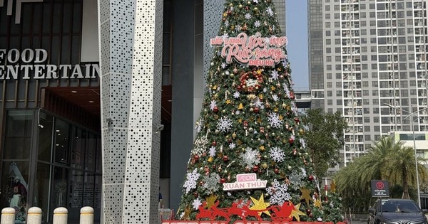 Hà Nội khoác 'áo mới', không khí Giáng sinh 2025 rộn ràng trên từng góc phố