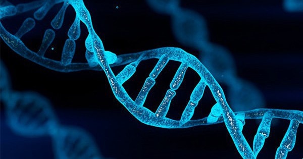 Phát hiện gene giúp tế bào ung thư thoát khỏi sự tấn công của hệ miễn dịch