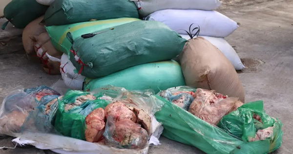 Bắt giữ hơn 2 tấn nội tạng động vật không rõ nguồn gốc đang trên đường đi tiêu thụ