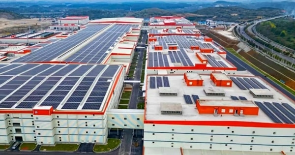 Đầu tư tái chế pin xe điện thế nào cho an toàn và hiệu quả?