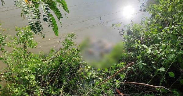 Thông tin đau lòng vụ nữ sinh bị sát hại ở Cà Mau, kẻ ác làm điều phẫn nộ trước khi ra tay