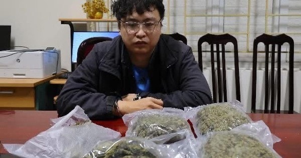 Phát hiện hơn 1 kg cần sa trong đơn hàng giao qua xe ôm ở Hà Nội