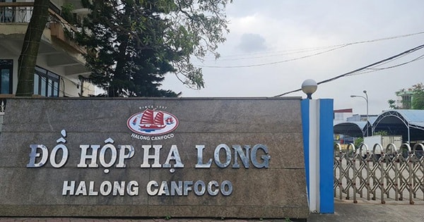 Công ty Đồ hộp Hạ Long tập kết hơn 120 tấn thịt lợn bệnh trong kho, nhiều hộp thịt đã chế biến xong