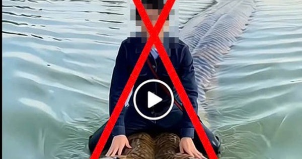 Cái kết của người đàn ông dùng AI tạo ảnh cưỡi trăn khổng lồ bơi trên hồ Hoàn Kiếm