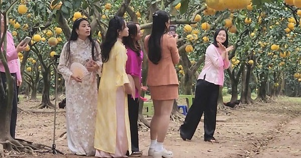 ‘Check-in', săn lùng đặc sản tại thủ phủ bưởi Diễn