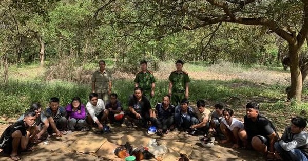 Triệt phá sới đá gà giữa ban ngày ở Đồng Nai, 9 đối tượng sa lưới