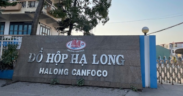 Bắt khẩn cấp Tổng Giám đốc Công ty CP Đồ hộp Hạ Long