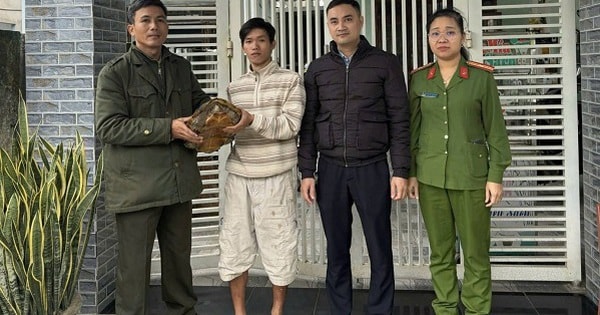 Phát hiện rùa quý hiếm nặng gần 7kg trong vườn, người dân tự nguyện giao nộp cơ quan chức năng