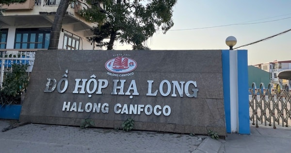 Vụ hơn 130 tấn thịt lợn nhiễm bệnh: Khởi tố, bắt tạm giam Tổng Giám đốc Công ty CP Đồ hộp Hạ Long