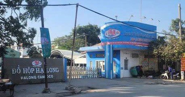 Vụ hơn 130 tấn thịt lợn nhiễm dịch tả châu Phi: Nữ cán bộ kiểm dịch ra đầu thú