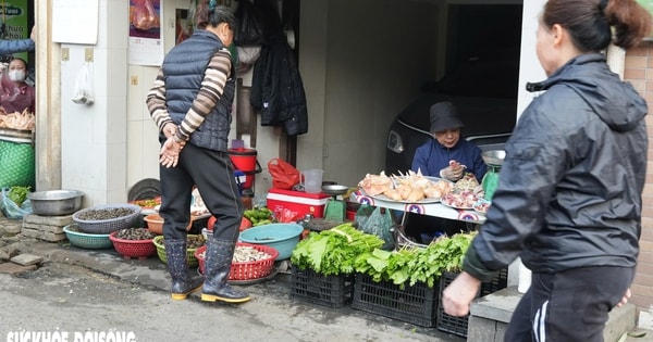 Hà Nội tạo điều kiện để tiểu thương từ 'chợ cóc' vào các chợ dân sinh