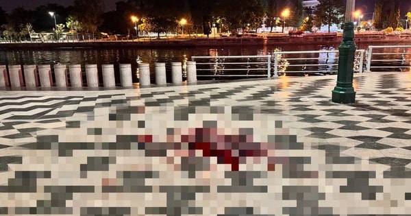 Mâu thuẫn với người lạ tại công viên, nam thanh niên 18 tuổi bị đâm tử vong