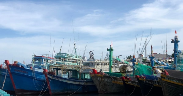 Hai tàu cá ở Lâm Đồng bị xử phạt 154 triệu đồng