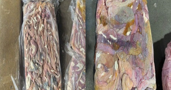 Phát hiện cơ sở chế biến thực phẩm bẩn, thu giữ hơn 60 tấn lòng lợn đông lạnh bốc mùi