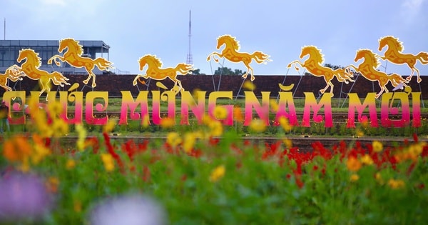 Choáng ngợp hình ảnh hàng vạn chậu hoa kết thành đóa sen khổng lồ ở Huế