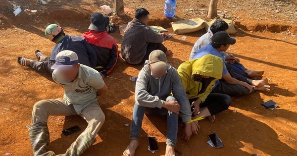 Triệt phá sới đá gà trong vườn cao su ở tỉnh Lâm Đồng