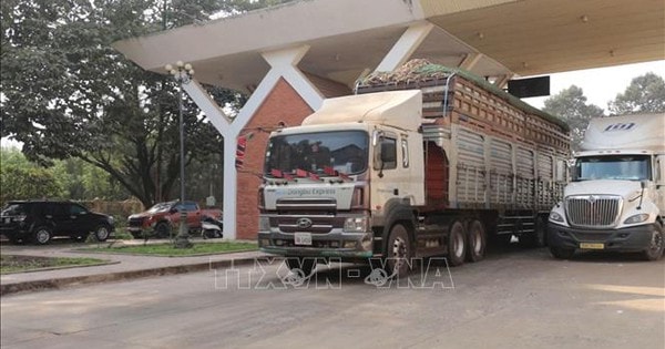 Bộ Công Thương ra công văn hướng dẫn việc kiểm tra an toàn thực phẩm nhập khẩu