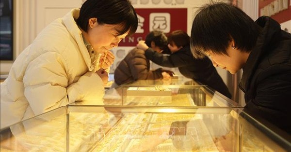 Nhiều nhà kinh tế nâng dự báo giá vàng, bạc sau những cú đảo chiều chóng mặt