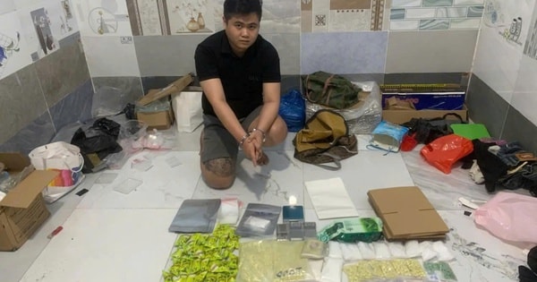 TPHCM: Triệt phá đường dây ma túy liên tỉnh giấu trong thức ăn thú cưng