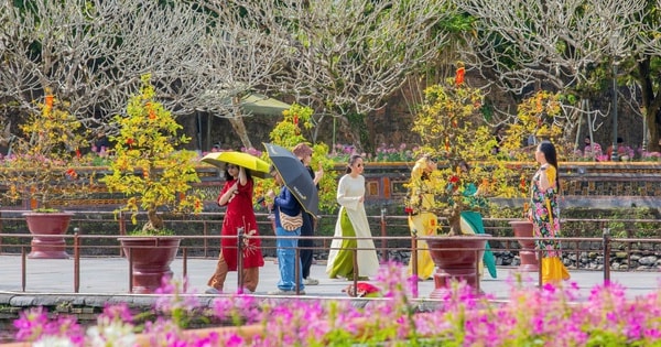 Di sản Huế 'khoác áo xuân' lộng lẫy, du khách quốc tế nườm nượp đổ về