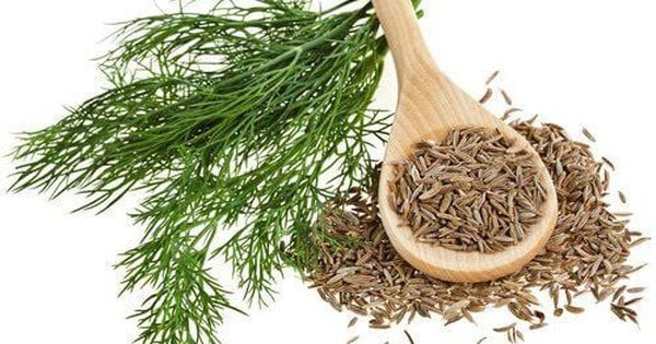 Loại rau gia vị bán khắp chợ không ngờ lại có nhiều tác dụng quý