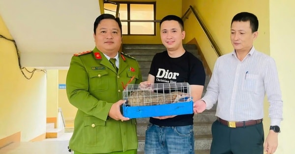Phát hiện động vật quý hiếm 'đi lạc', người đàn ông giao nộp công an
