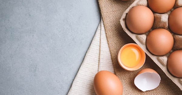 Ăn trứng thường xuyên giúp giảm nguy cơ tử vong do bệnh tim mạch ở người lớn tuổi