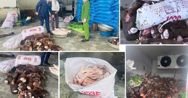 Kinh hoàng loạt thực phẩm bẩn bị thu giữ: Cá khoai nhiễm độc, lợn mắc dịch, nội tạng hôi thối