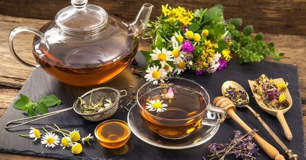 Vì sao trà thảo dược không thể thay thế được nước lọc?