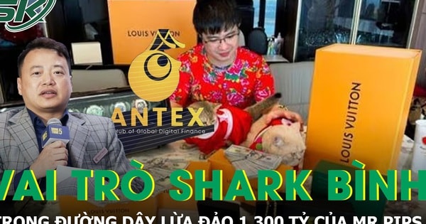 Hé lộ vai trò của Shark Bình trong đường dây lừa đảo 1.300 tỷ liên quan Mr Pips
