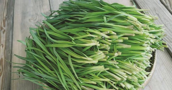 29 bài thuốc chữa bệnh từ cây rau hẹ