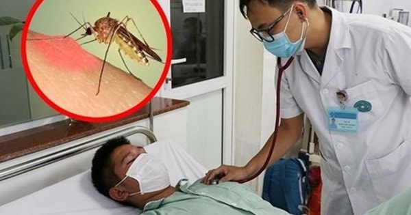 Đã có gần 32.000 ca sốt xuất huyết, tăng hơn 2 lần: Cảnh báo nguy cơ gia tăng ca mắc