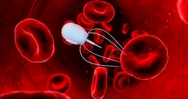 Robot DNA siêu nhỏ săn lùng virus và đưa thuốc vào cơ thể