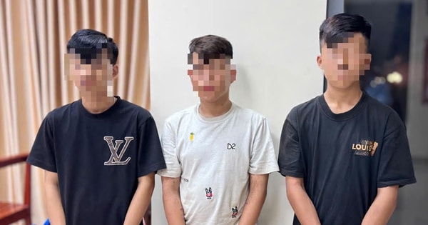 Nhóm thiếu niên 10X manh động dùng dao chém người, cướp tài sản ở An Giang