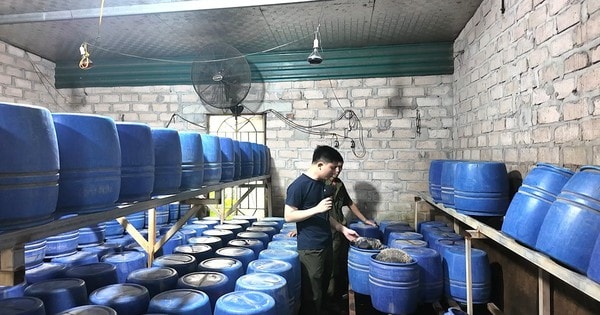 Cận cảnh nhà xưởng sản xuất 4 tấn giá đỗ sử dụng chất cấm